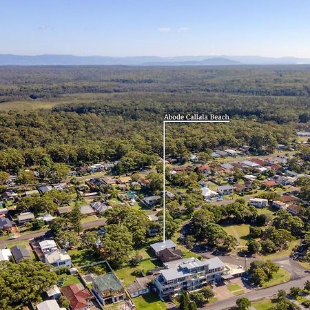 Abode Callala Beach Jervis Bay - 100M To Beach! Exterior foto